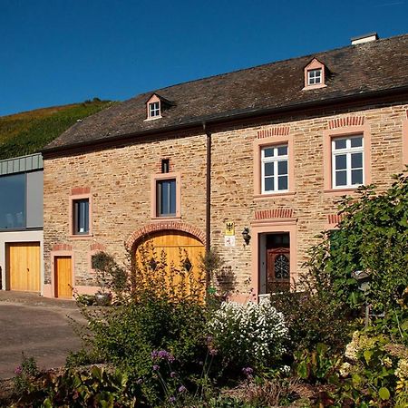 Altes Loerscher Winzerhaus Меринг Экстерьер фото